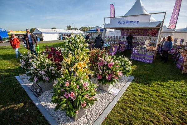 Malvern Autumn Show